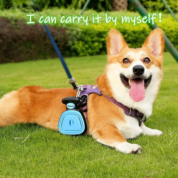 Foldable Dog Poop Scooper – Portable Travel Pooper Scooper in S & L