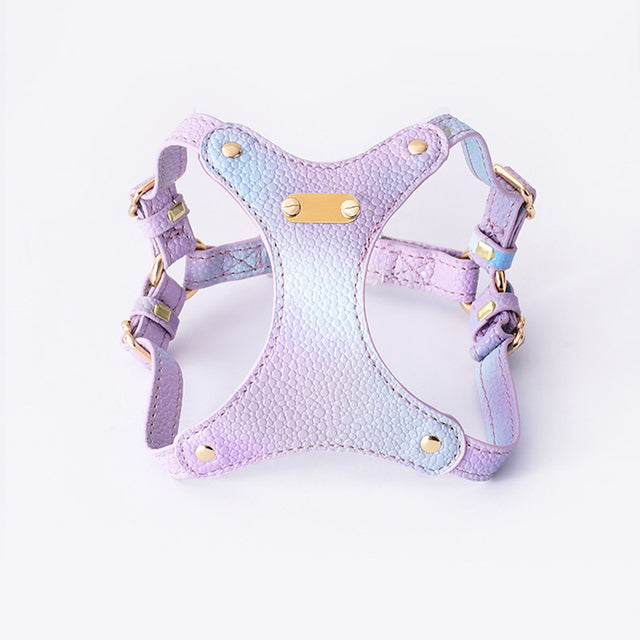 Adjustable Waterproof Leather Pet Harness for Small Dogs