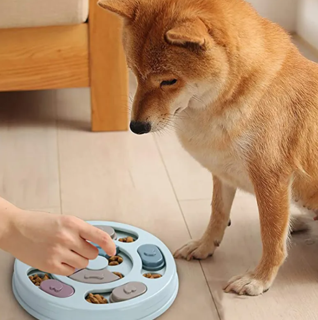 Dog Slow Feeder Puzzle Bowl – Interactive Anti-Bloat Dog Food Bowl